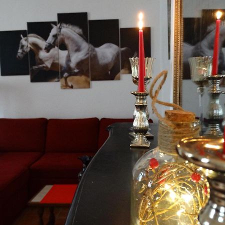 Studio Sequoia Au Pied Du Chateau Saumur Ngoại thất bức ảnh