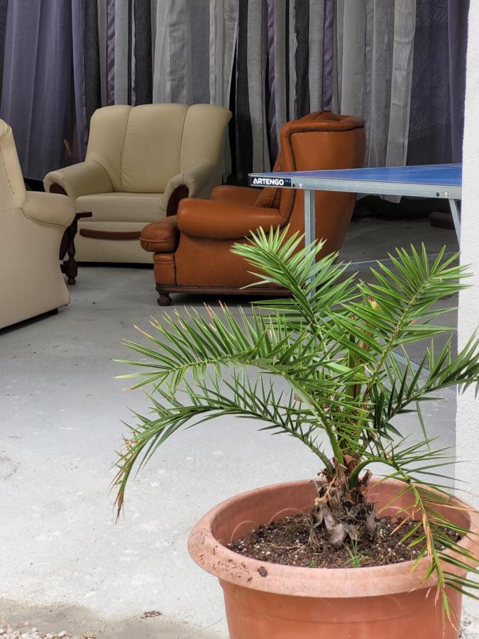 Studio Sequoia Au Pied Du Chateau Saumur Ngoại thất bức ảnh